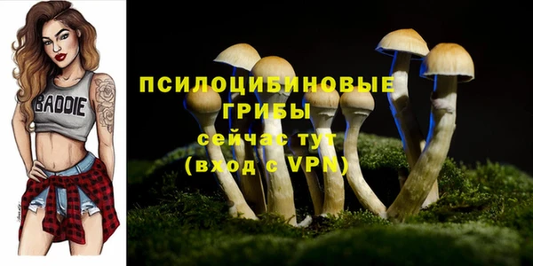 ПСИЛОЦИБИНОВЫЕ ГРИБЫ Армянск